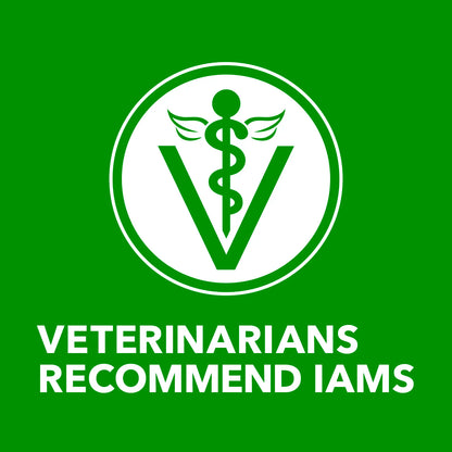 IAMS Proactive Health Adult Wet Dog Food Pate with Chicken & Rice 6 Count 13-oz, Kwik Pets