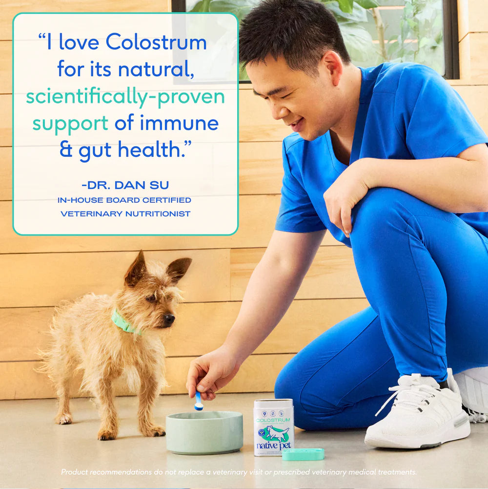 Native Pet Colostrum Immune System Powder Supplement for Dogs 2.2-oz, Kwik Pets