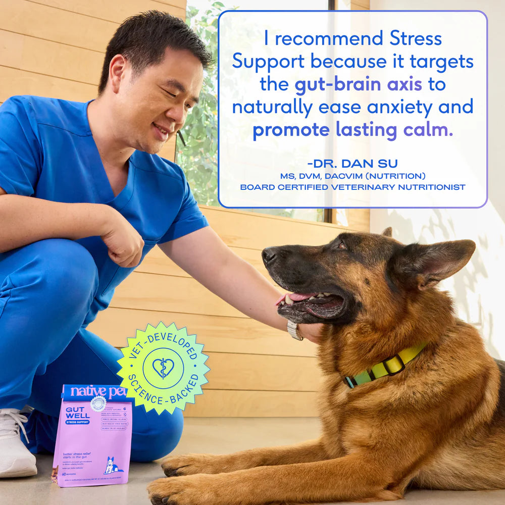 Native Pet GutWell Stress Support Anxiety Relief & Calming Supplement for Dogs 12.7-oz, Kwik Pets