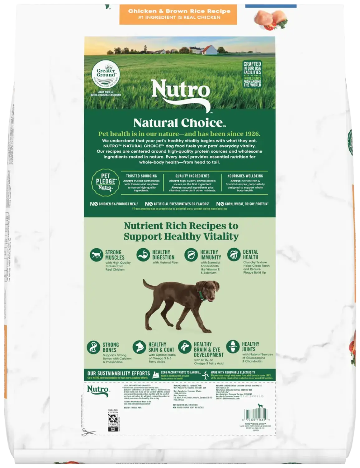 Back of Nutro Natural Choice Chicken & Brown Rice Large Breed Puppy Dry Dog Food 30-lb
