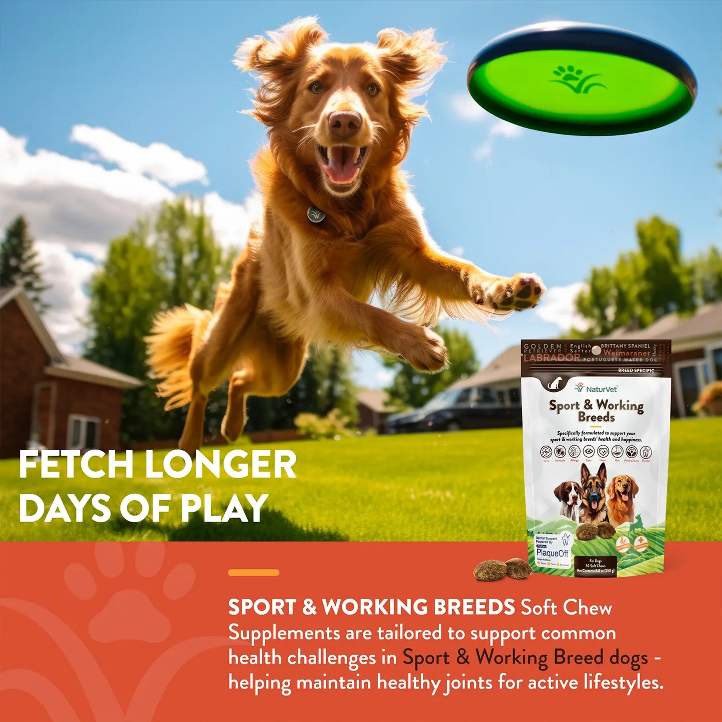 Benefits 1 of NaturVet Sport & Working Breed-Specific Supplement Soft Chews for Dogs 50 Count 8.8-oz