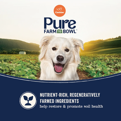 Benefits of Canidae Pure Goodness Wholesome Grains Adult Dry Dog Food Real Lamb & Brown Rice Recipe 4-lb