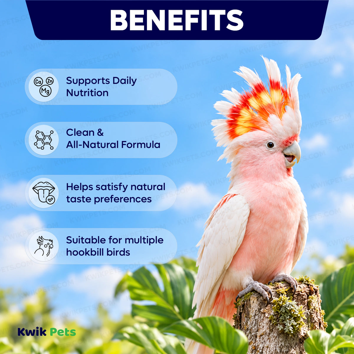 Benefits of Volkman Seed Company Avian Science Super Hookbill Bird Treat 2-lb