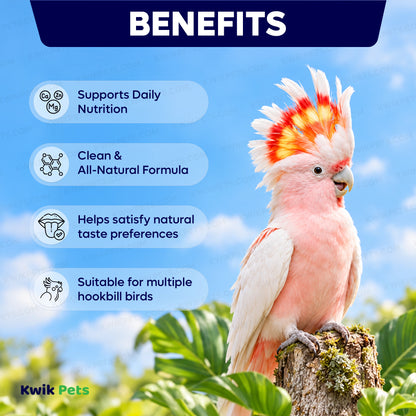 Benefits of Volkman Seed Company Avian Science Super Hookbill Bird Treat 2-lb