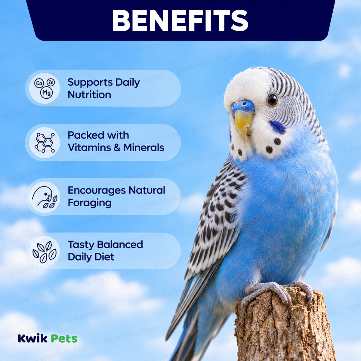 Benefits of Volkman Seed Company Featherglow Parakeet Treat 4-lb