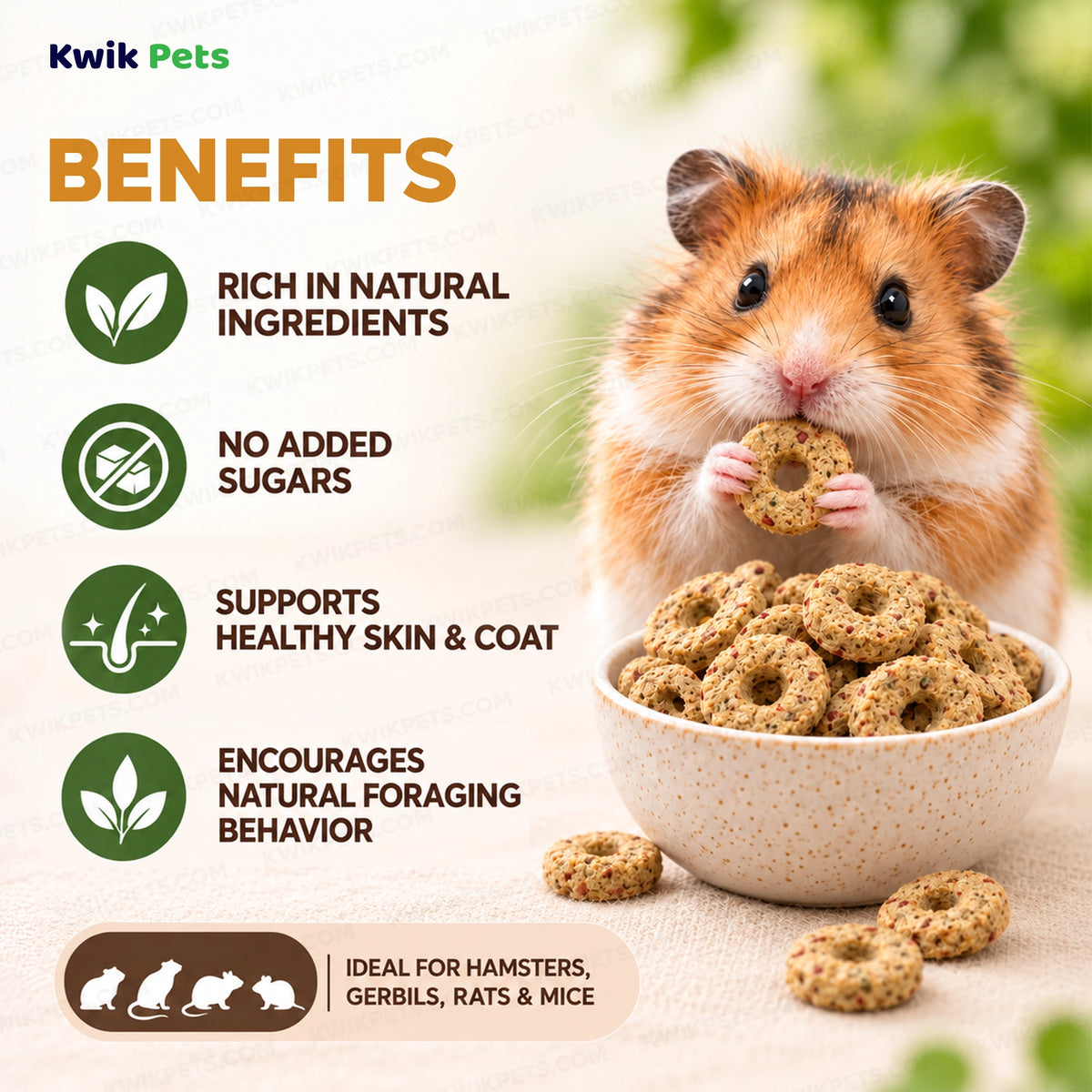 Benefits of Science Selective Naturals Harvest Loops with Apple, Linseed & Peanut Hamster Treats 2.8-oz