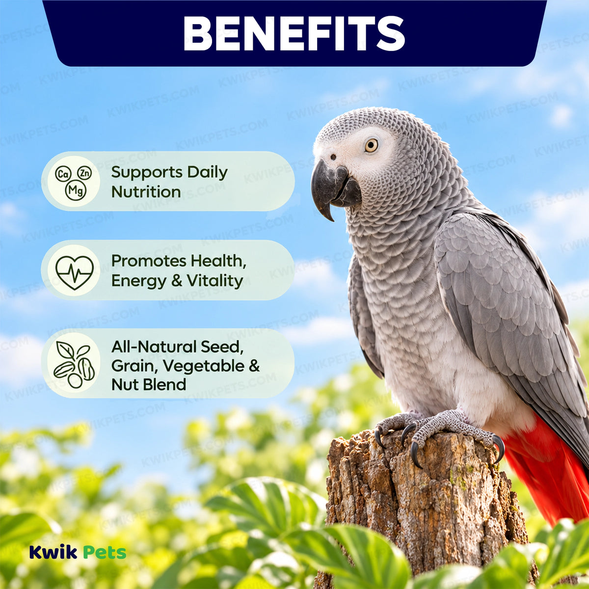 Benefits of Volkman Seed Company Avian Naturals Large Parrot Bird Food 4-lb