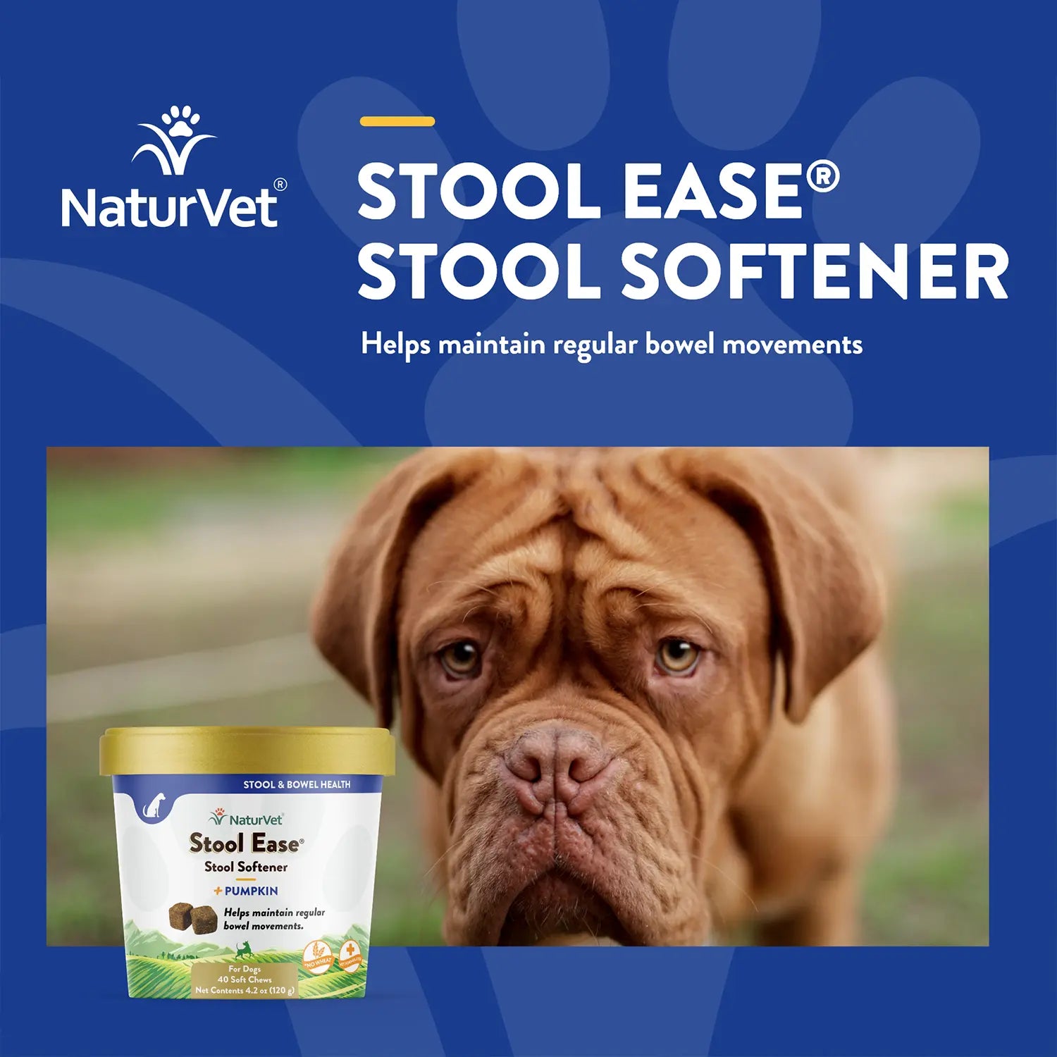Benefits of NaturVet Stool Ease Soft Chews for Dogs 40 Count 4.2-oz