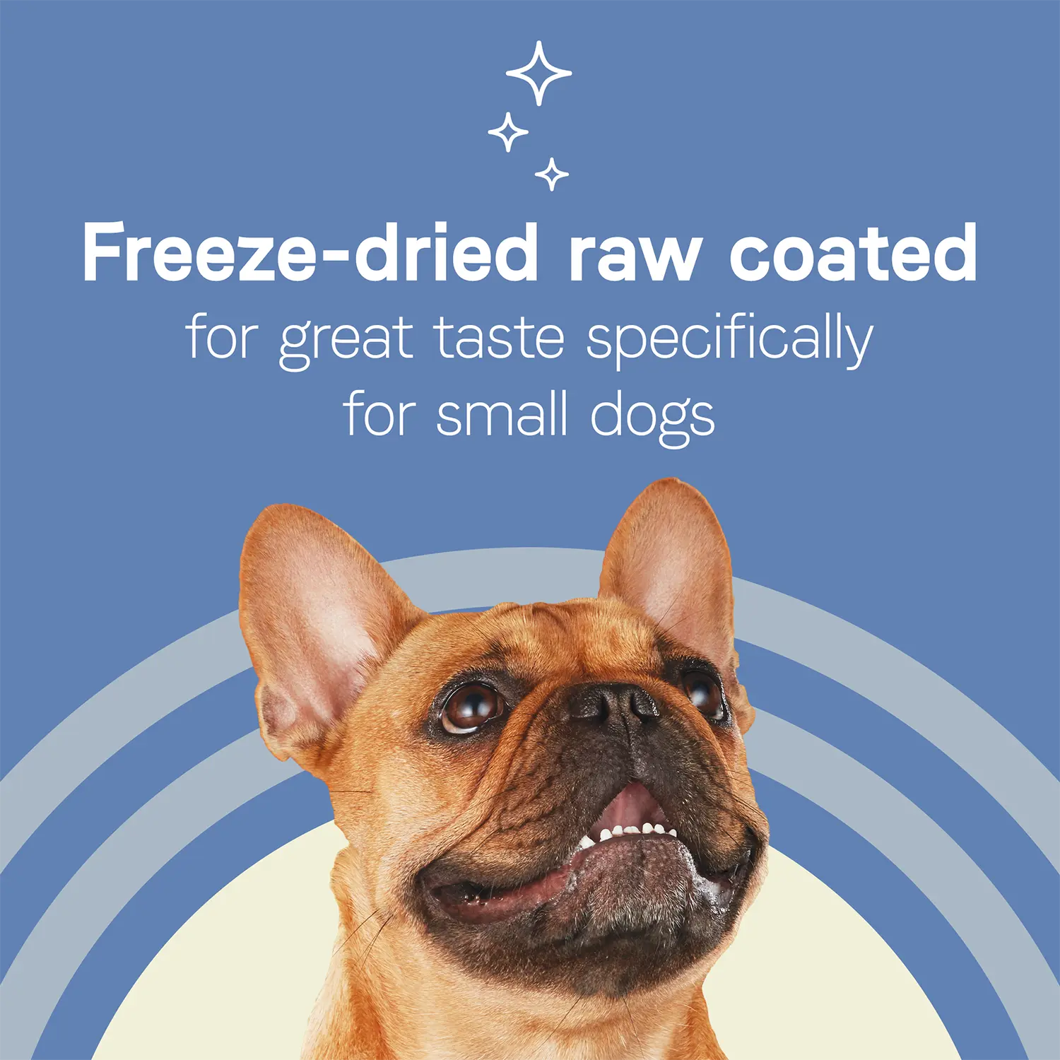 Benefits of CANIDAE PURE Petite Goodness for Small Breed Freeze-Dried Raw Coated Adult Dry Dog Food Chicken 4-lb