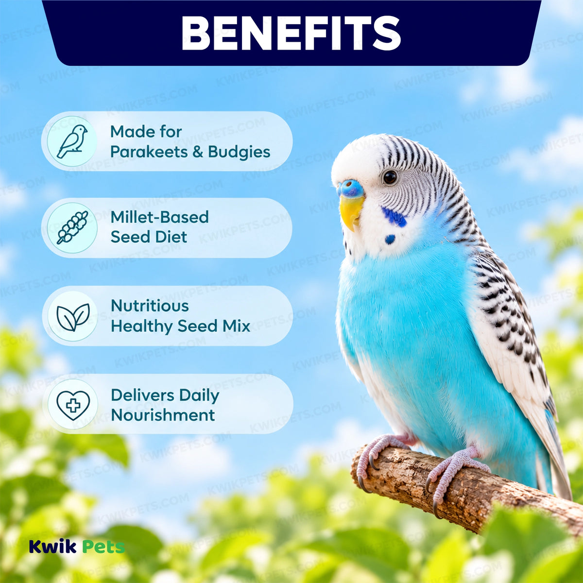 Benefits of Volkman Seed Company Avian Science Super Parakeet Bird Treat 4-lb