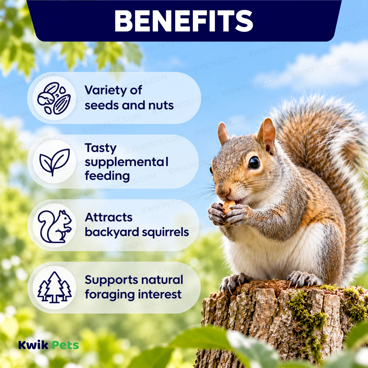 Benefits of Volkman Seed Company Small Animal Squirrel Gourmet Mix Dry Food 4-lb