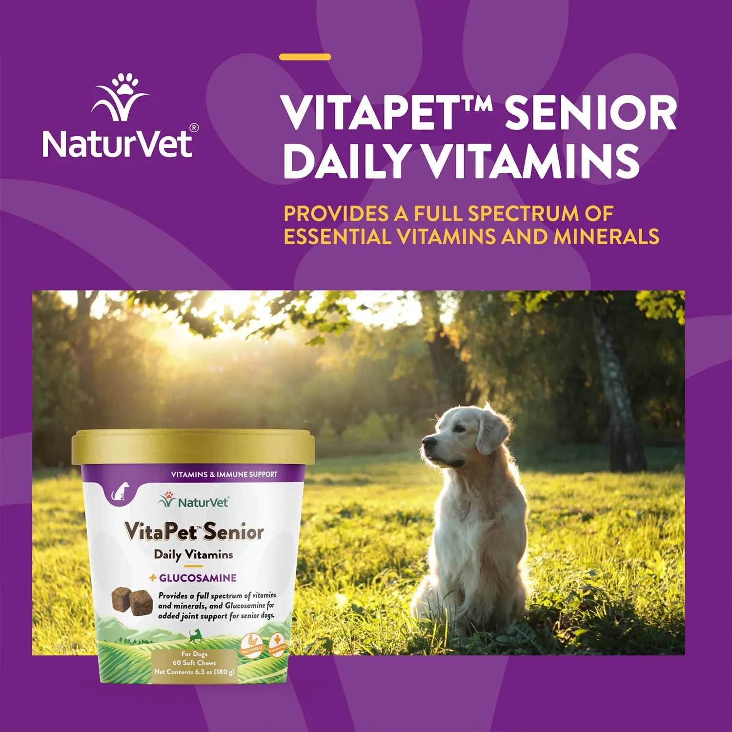 Benefits of NaturVet VitaPet Senior Daily Vitamins Plus Glucosamine Soft Chews for Dogs 60 Count 6.3-oz