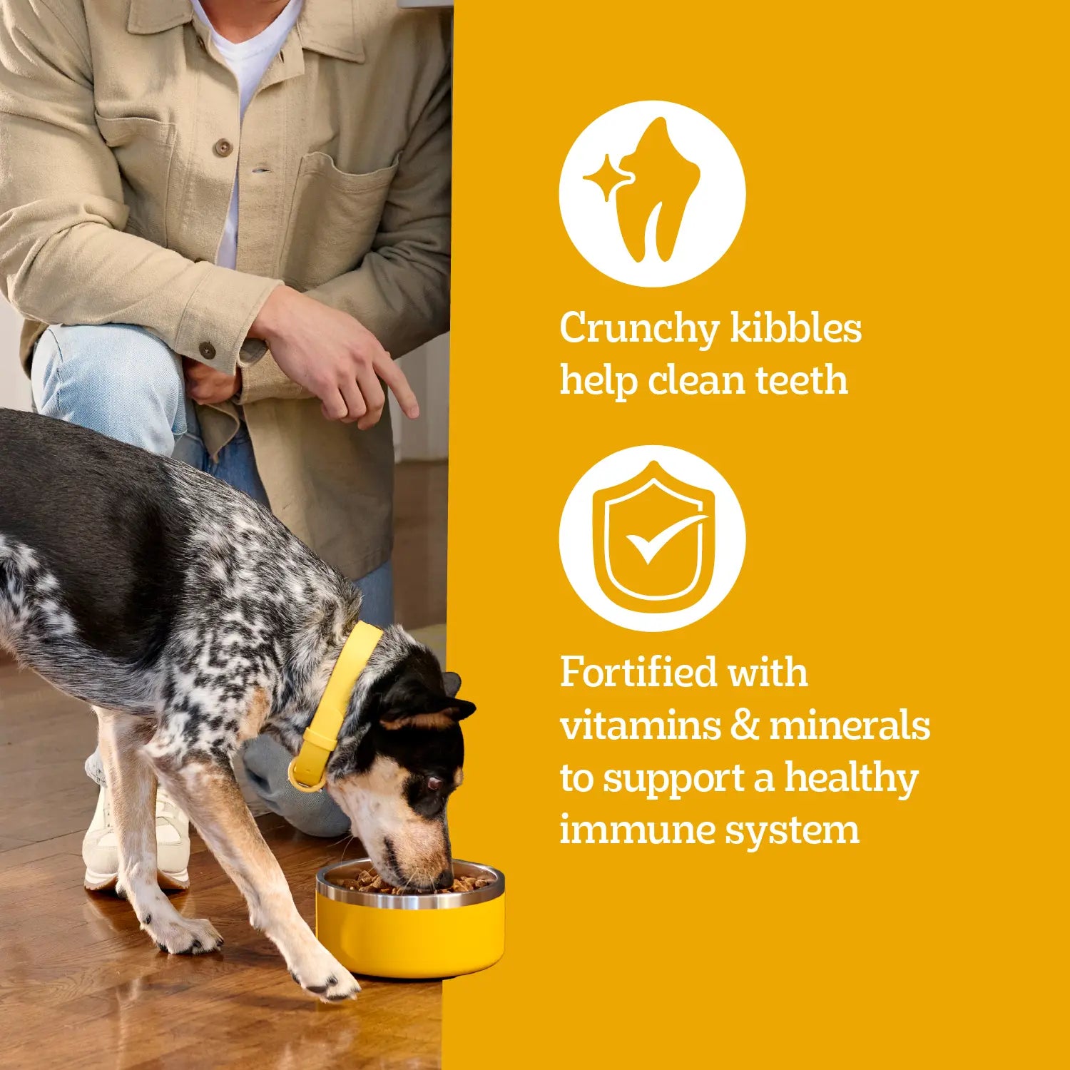 Benefits of Pedigree Complete Nutrition Tender Bites Small Breed Adult Dry Dog Food Chicken & Steak 3.5-lb