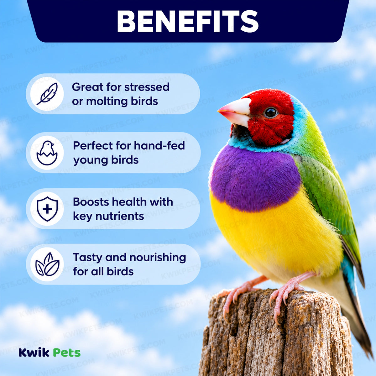 Benefits of Volkman Seed Company Featherglow Gourmet Egg Food Supplement 2-lb