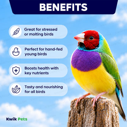 Benefits of Volkman Seed Company Featherglow Gourmet Egg Food Supplement 2-lb