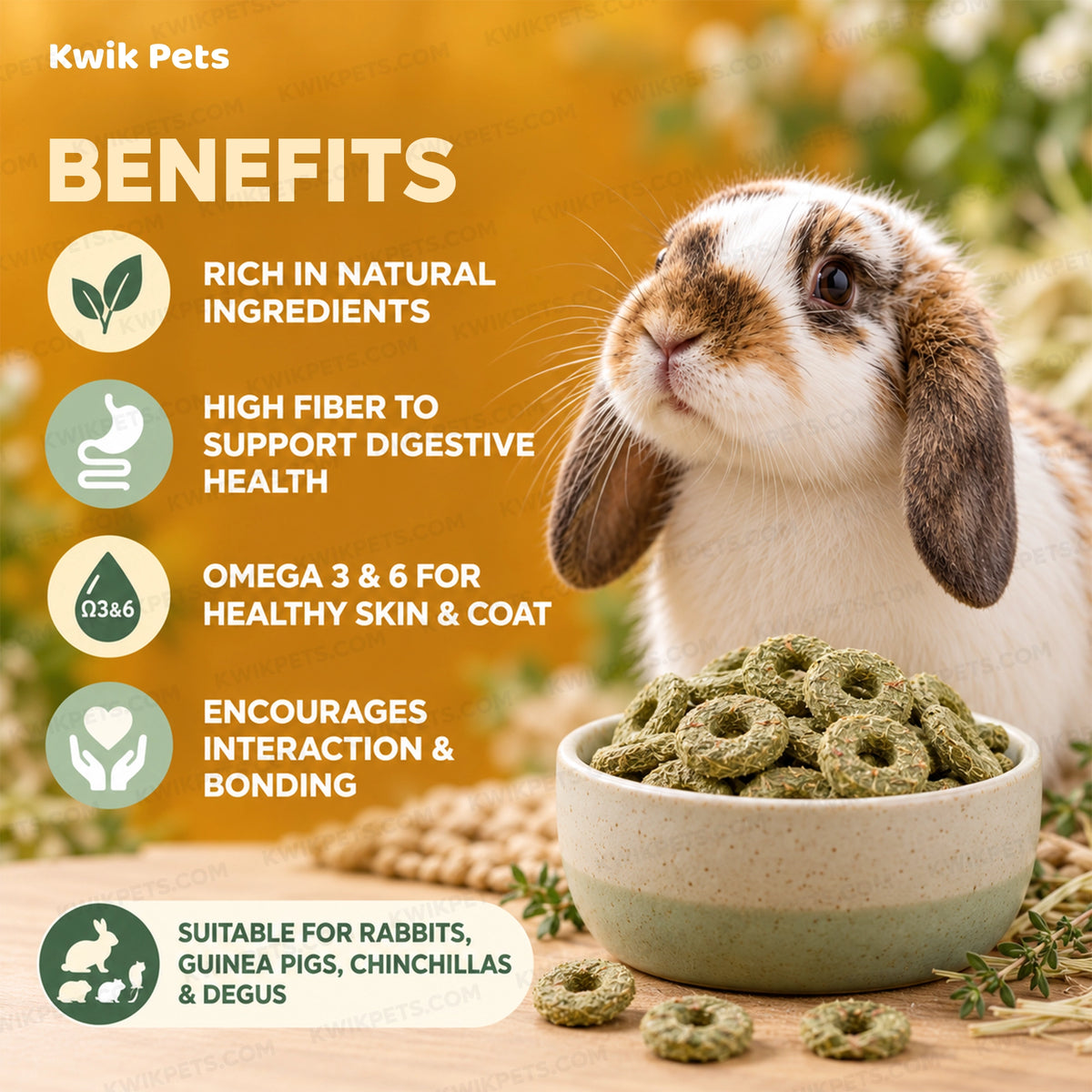 Benefits of Science Selective Meadow Loops with Timothy Hay & Thyme Rabbit Treats 2.8-oz