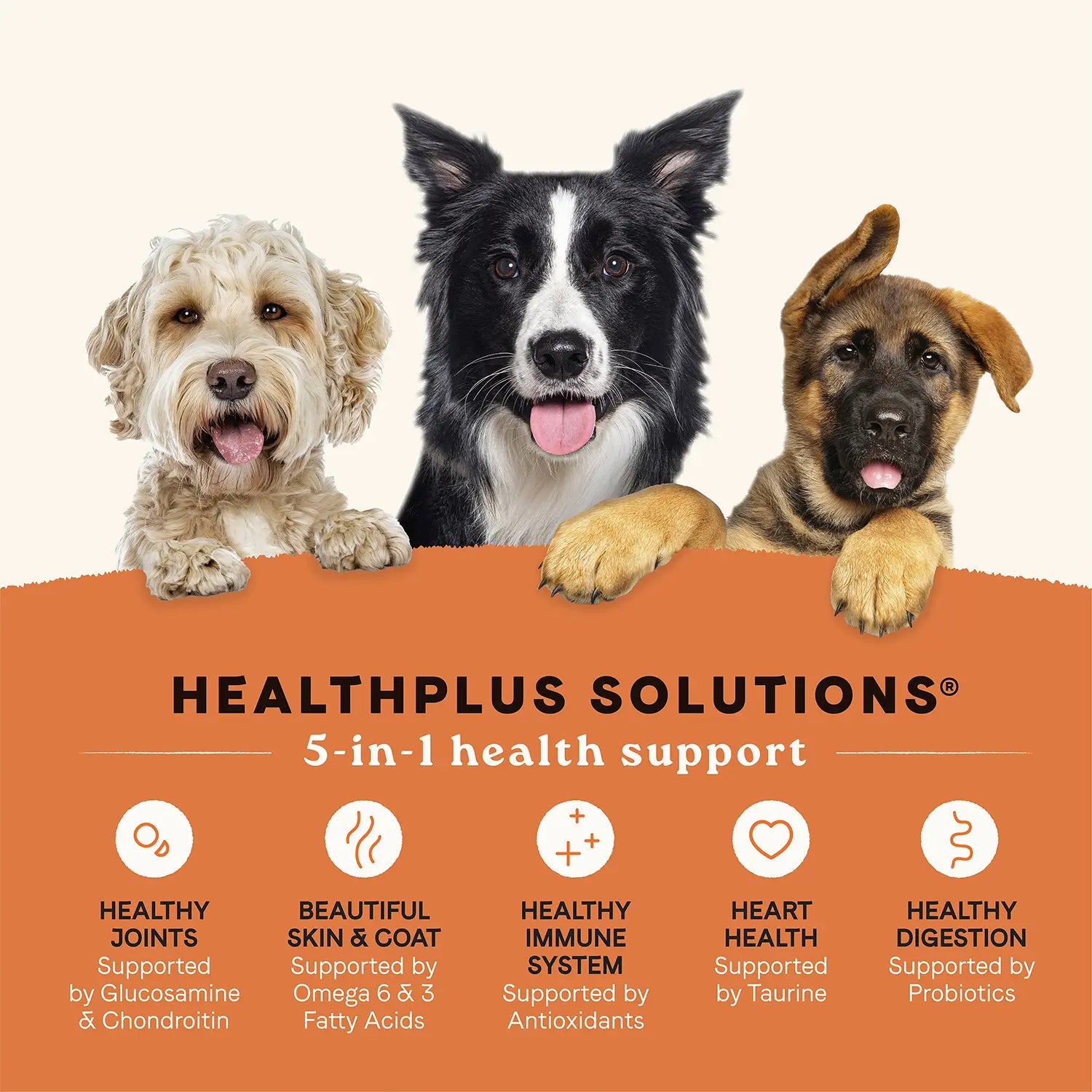 Benefits of Canidae All Life Stages Dry Dog Food Real Lamb & Ancient Grains Recipe 5- lb
