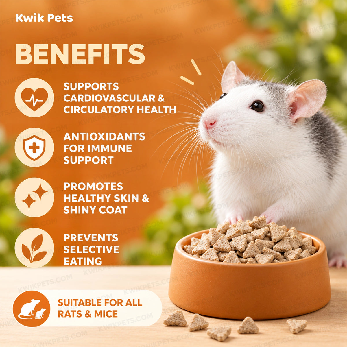 Benefits of Science Selective Complete Rat & Mouse Dry Food 4.38-lb