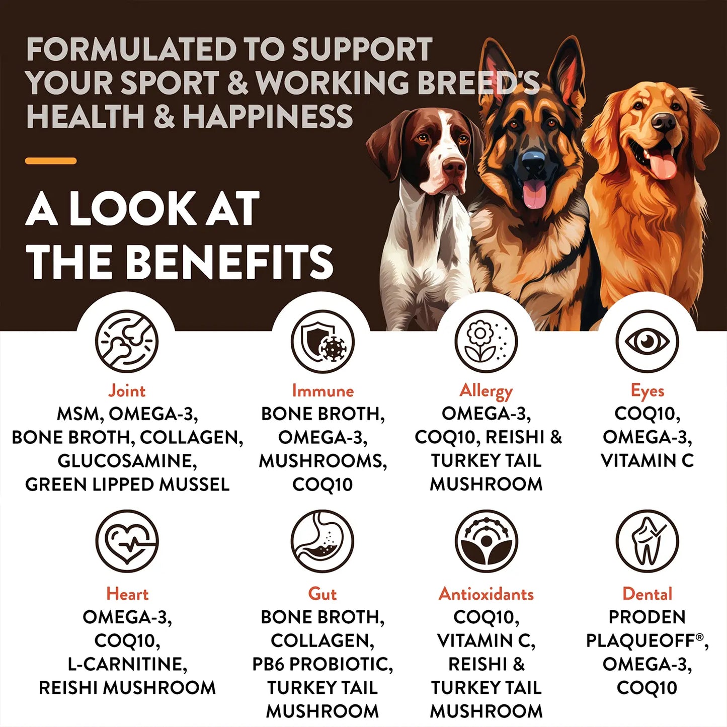 Benefits of NaturVet Sport & Working Breed-Specific Supplement Soft Chews for Dogs 50 Count 8.8-oz