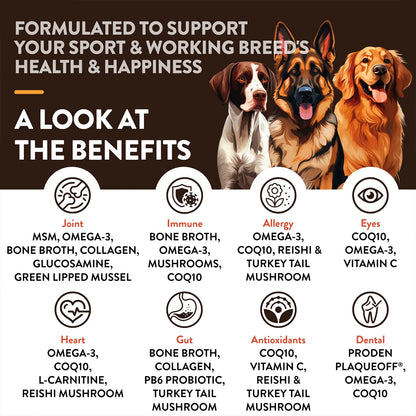 Benefits of NaturVet Sport & Working Breed-Specific Supplement Soft Chews for Dogs 50 Count 8.8-oz