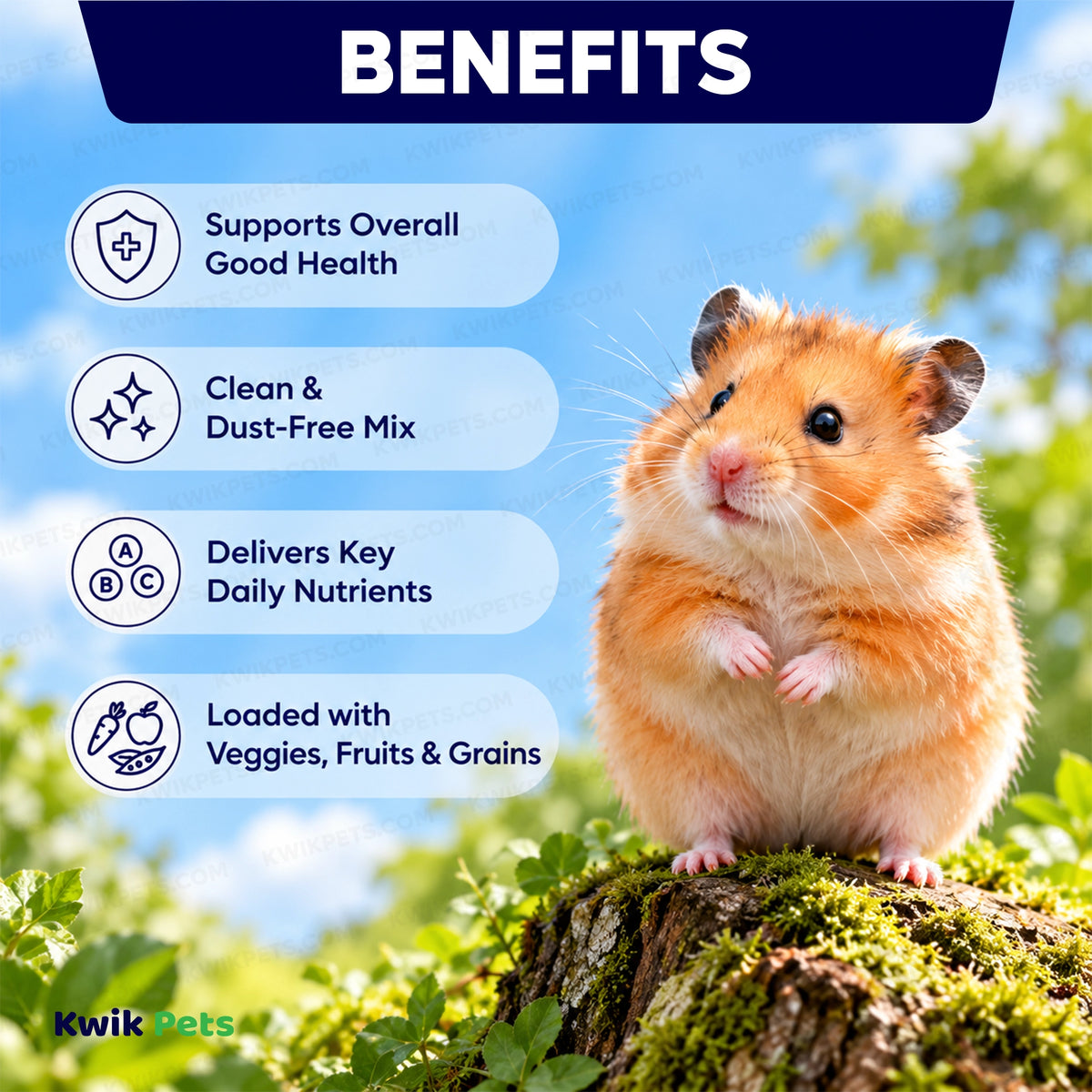 Benefits of Volkman Seed Company Small Animal Hamster Gourmet Dry Food 4-lb