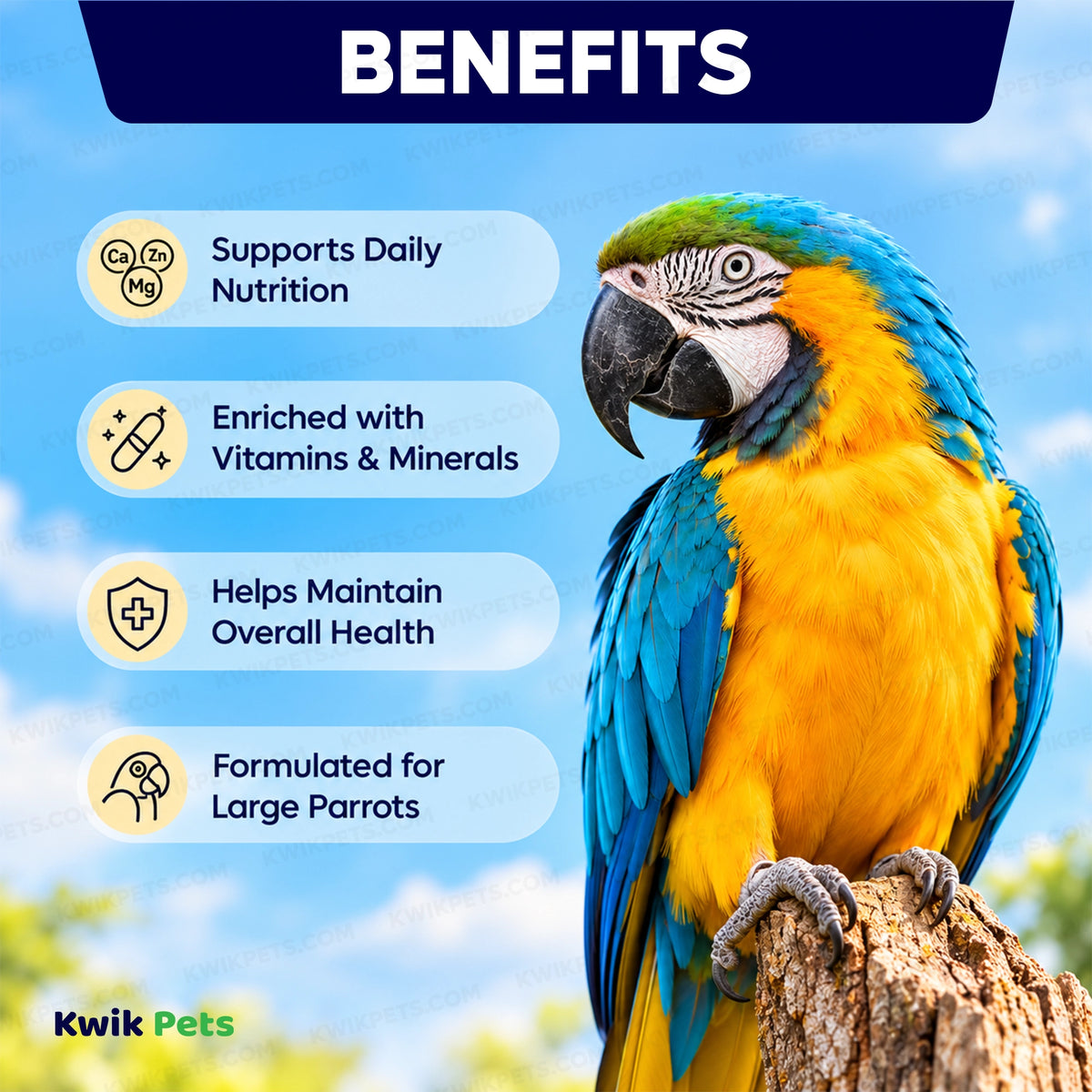 Benefits of Volkman Seed Company Featherglow Large Parrot Treat 4-lb