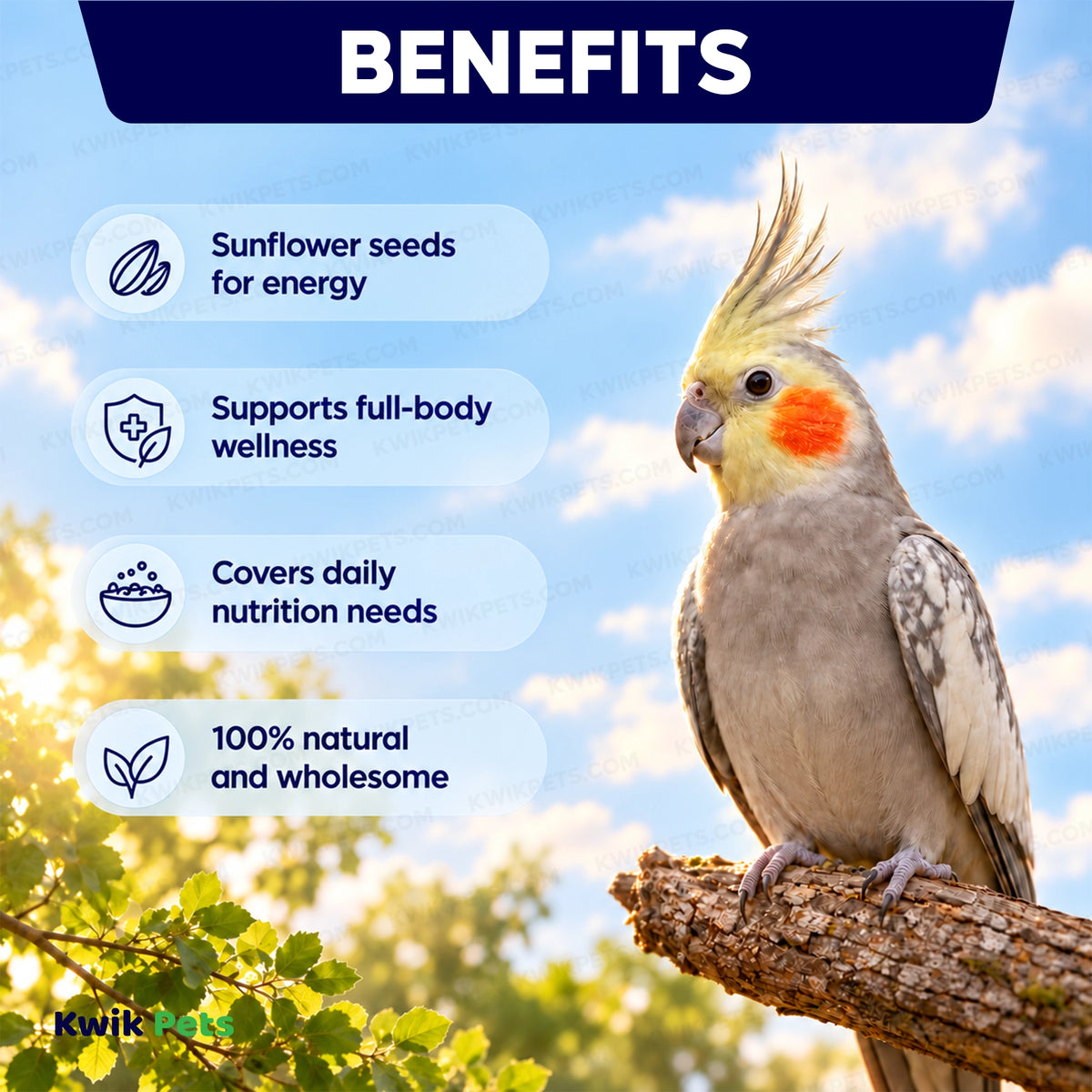 Benefits of Volkman Seed Company Avian Science Super Cockatiel Bird Treat with Sunflower Seed 4-lb