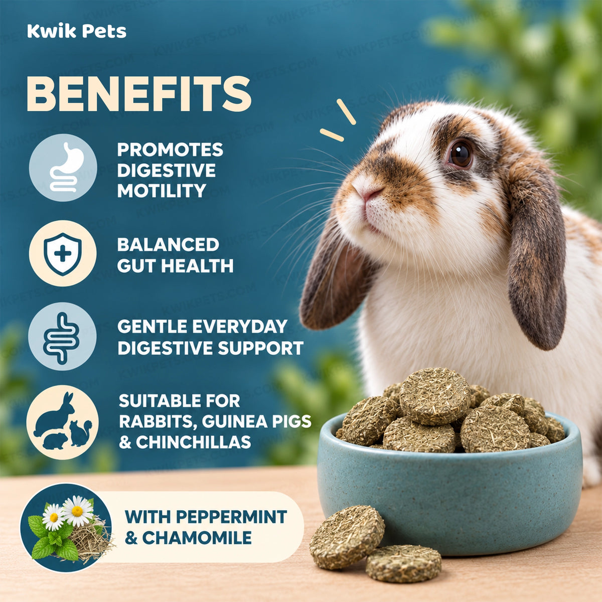 Benefit of Science Selective Digestive Care Supplement for Small Animals  3.5-oz