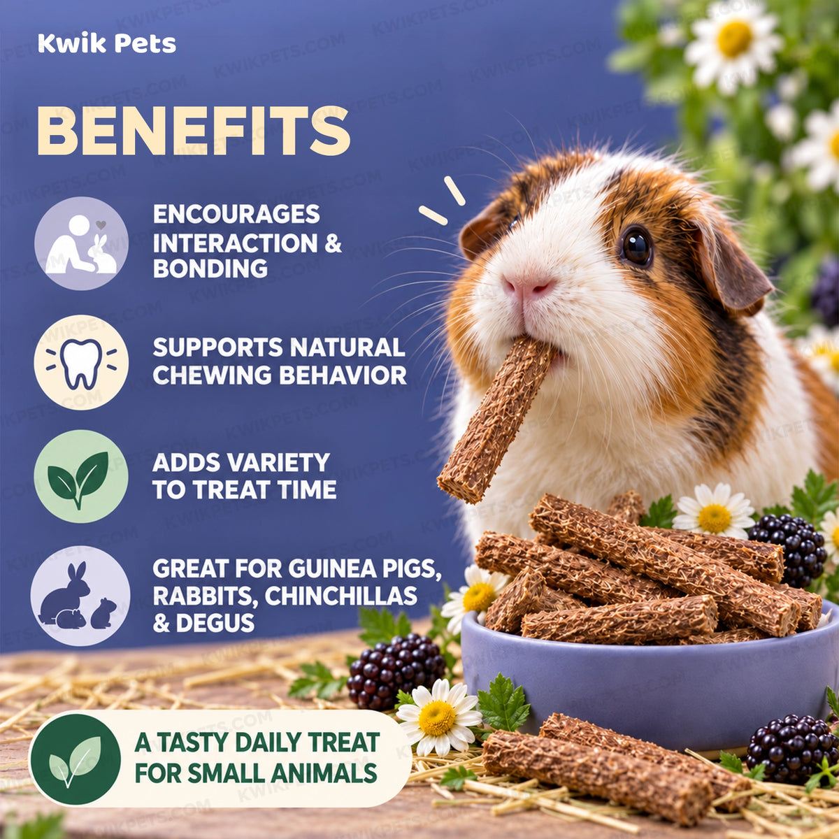 Benefits of Science Selective Forest Sticks with Blackberry & Chamomile Guinea Pig Treats 2.1-oz