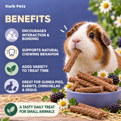 Benefits of Science Selective Forest Sticks with Blackberry & Chamomile Guinea Pig Treats 2.1-oz