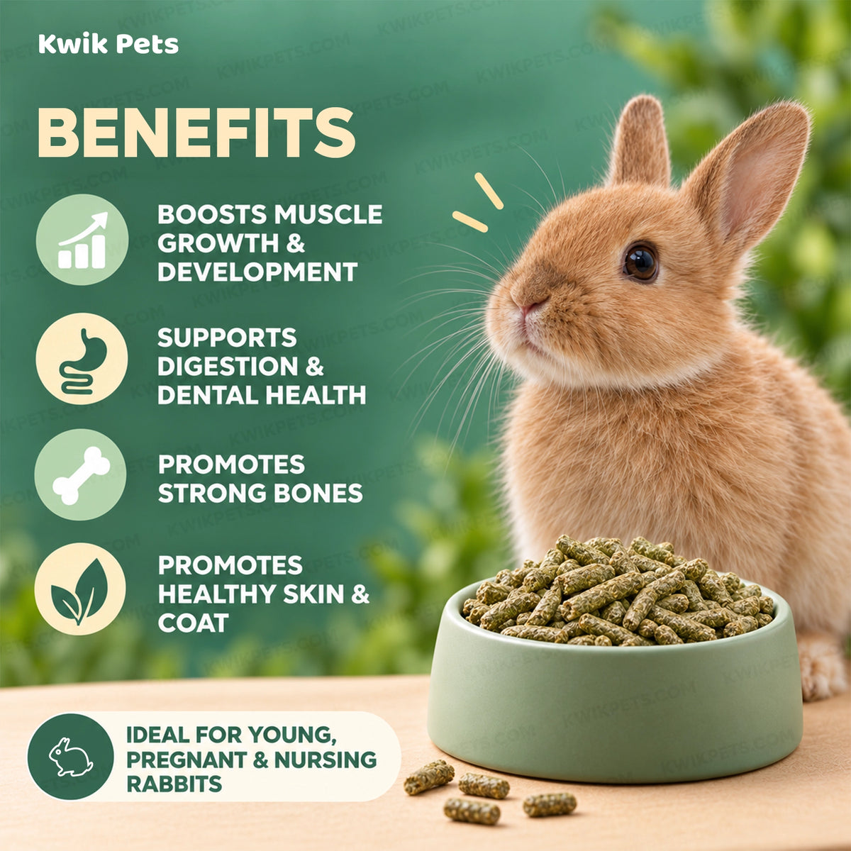 Benefits of Science Selective Junior Rabbit Dry Food 4.38-lb