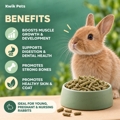 Benefits of Science Selective Junior Rabbit Dry Food 4.38-lb