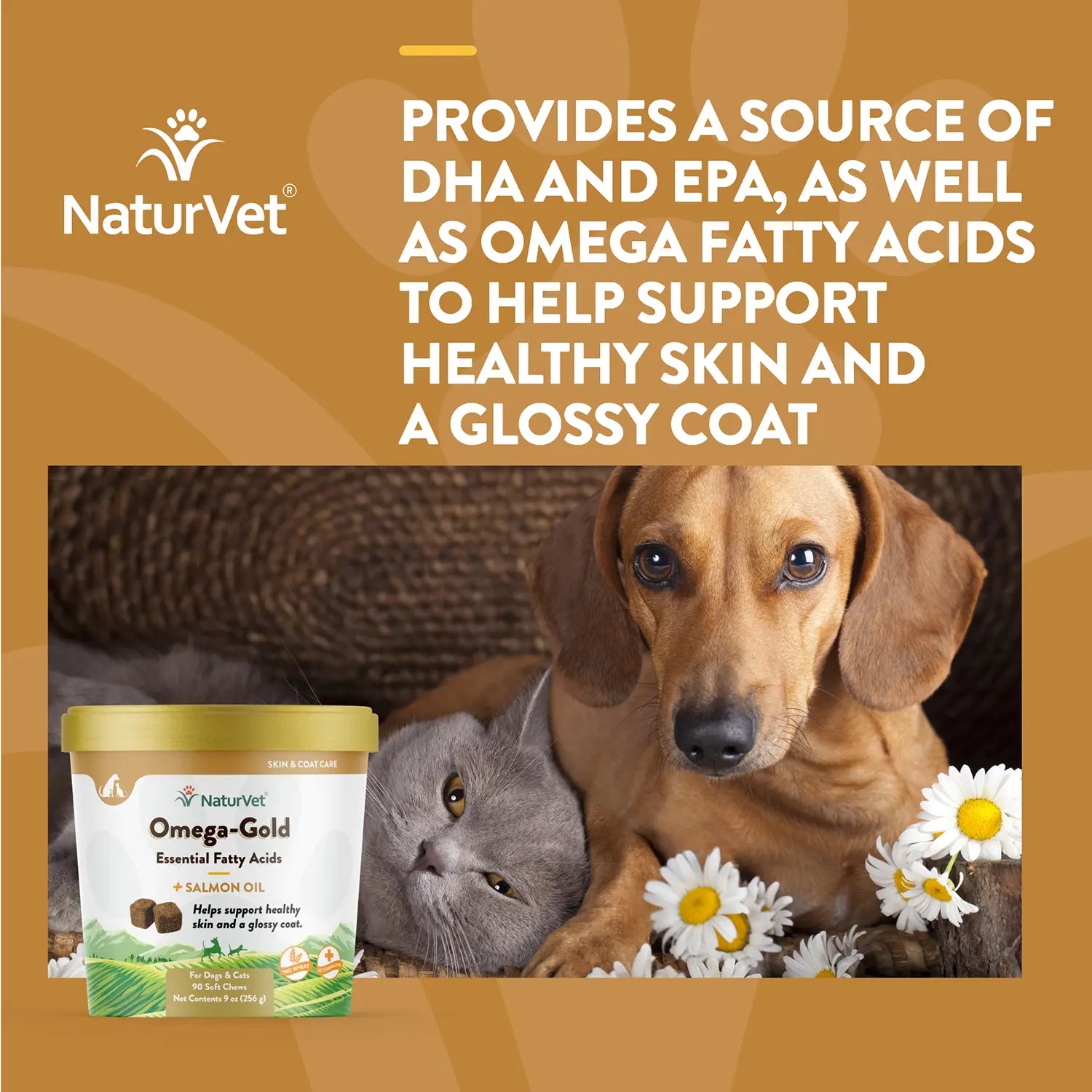 Benefits of NaturVet Omega-Gold Plus Salmon Oil Soft Chews for Dogs & Cats 90 Count 9-oz