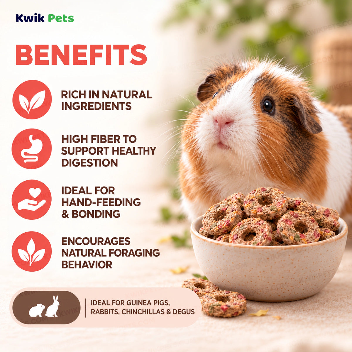 Benefits of Science Selective Woodland Loops with Dandelion & Rosehip Guinea Pig Treats 2.8-oz