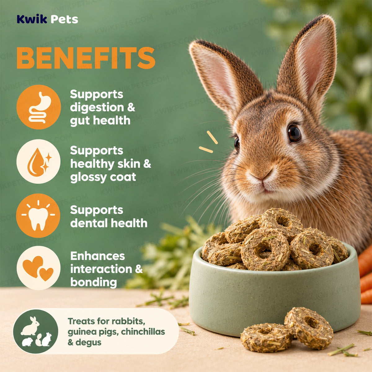 Benefits of Science Selective Naturals Country Loops with Carrot & Timothy Hay Rabbit Treats 2.8-oz