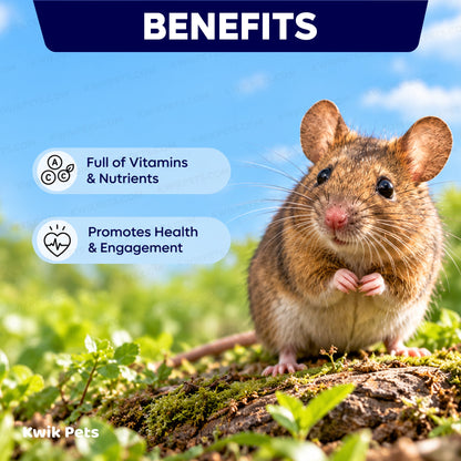 Benefits of Volkman Seed Company Small Animal Rat & Mouse Menu Dry Food 4-lb