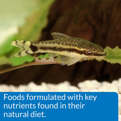 Features 1 of API Bottom Feeder Pellets with Squid Fish Food 1.3-oz