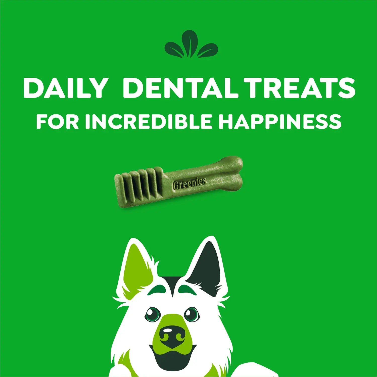 Features of Greenies Original Dog Dental Treats Large 36-oz 24 Count