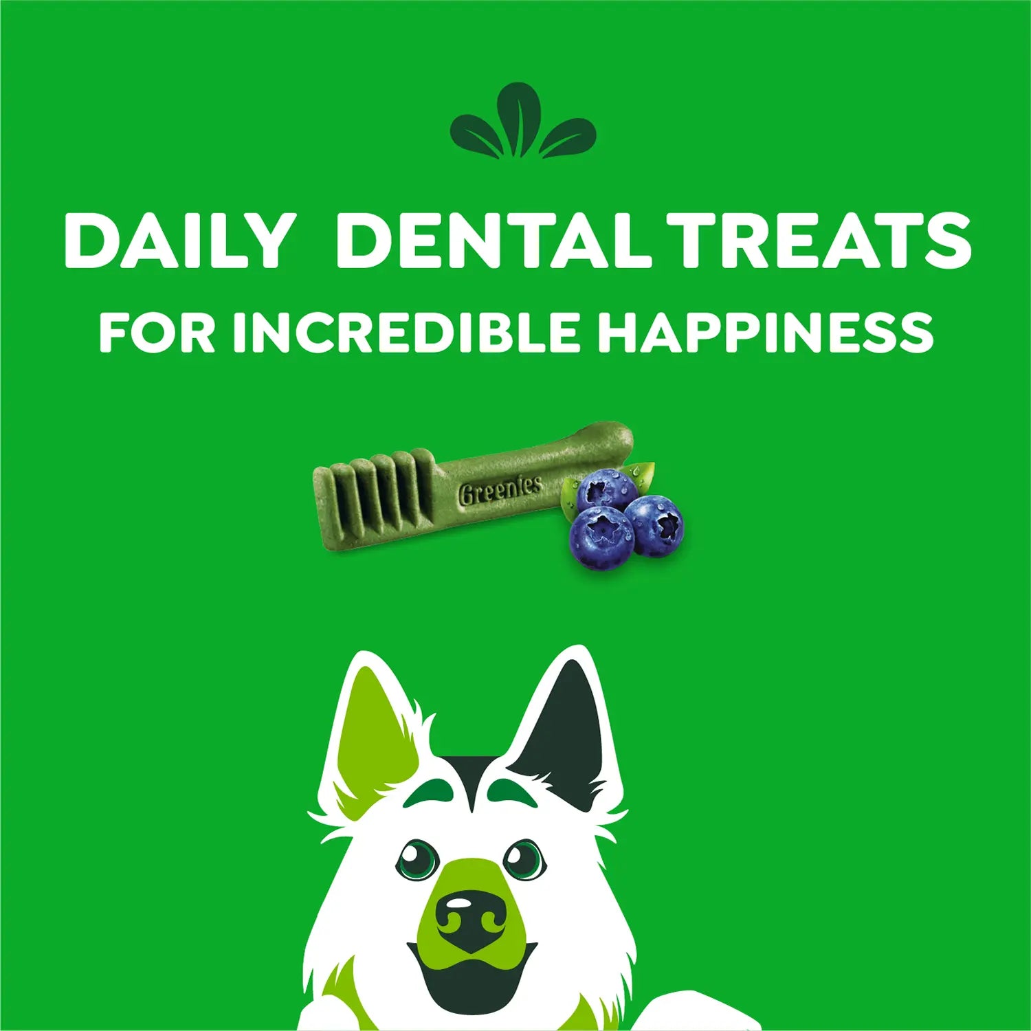 Features of Greenies Blueberry Dog Dental Treats Large 12-oz 8 Count