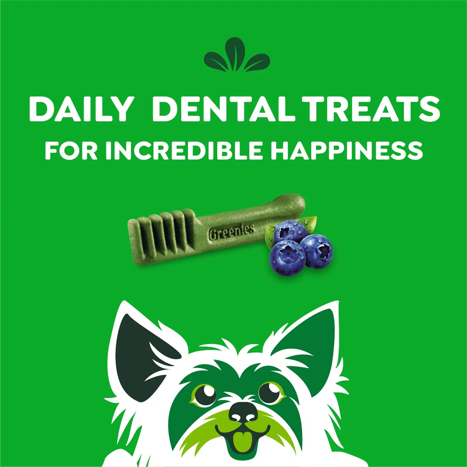Features of Greenies Blueberry Dog Dental Treats Teenie 12-oz 43 Count