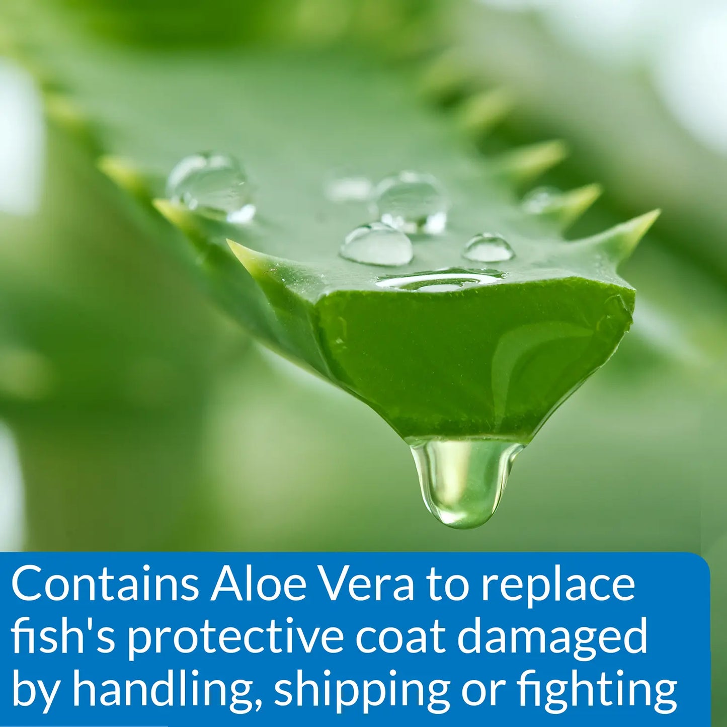 feature 3 of API Stress Coat Marine Aquarium Remedy 16-oz