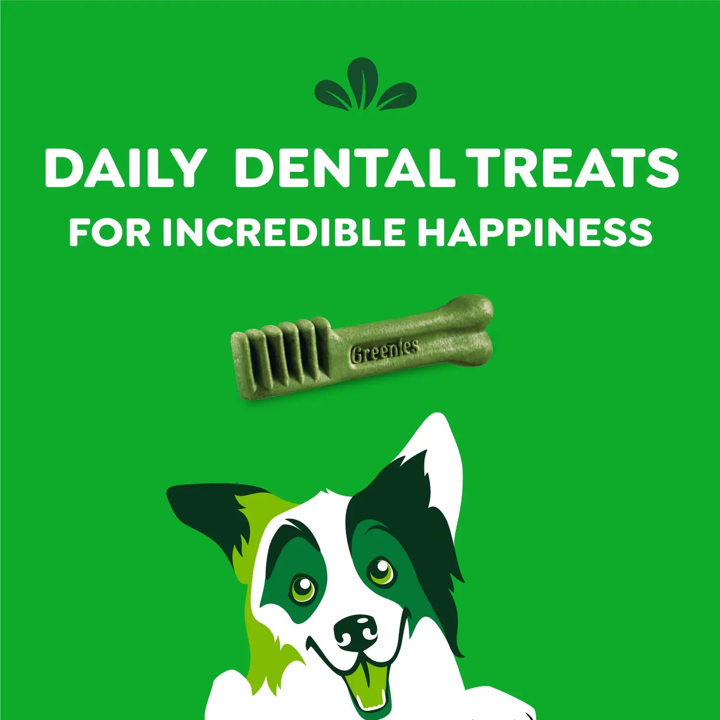 Features of Greenies Original Dog Dental Treats Regular 36-oz 36 Count