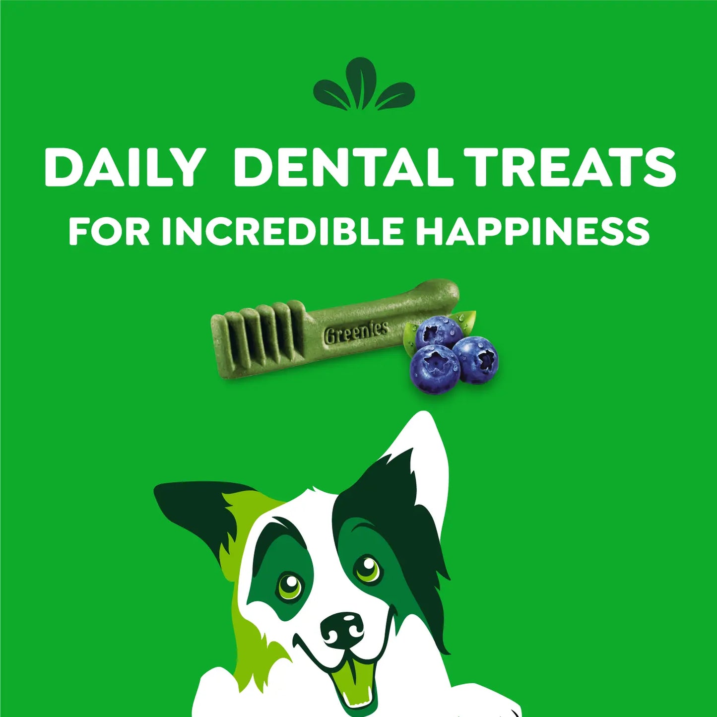 Features of Greenies Blueberry Dog Dental Treats Regular 12-oz 12 Count