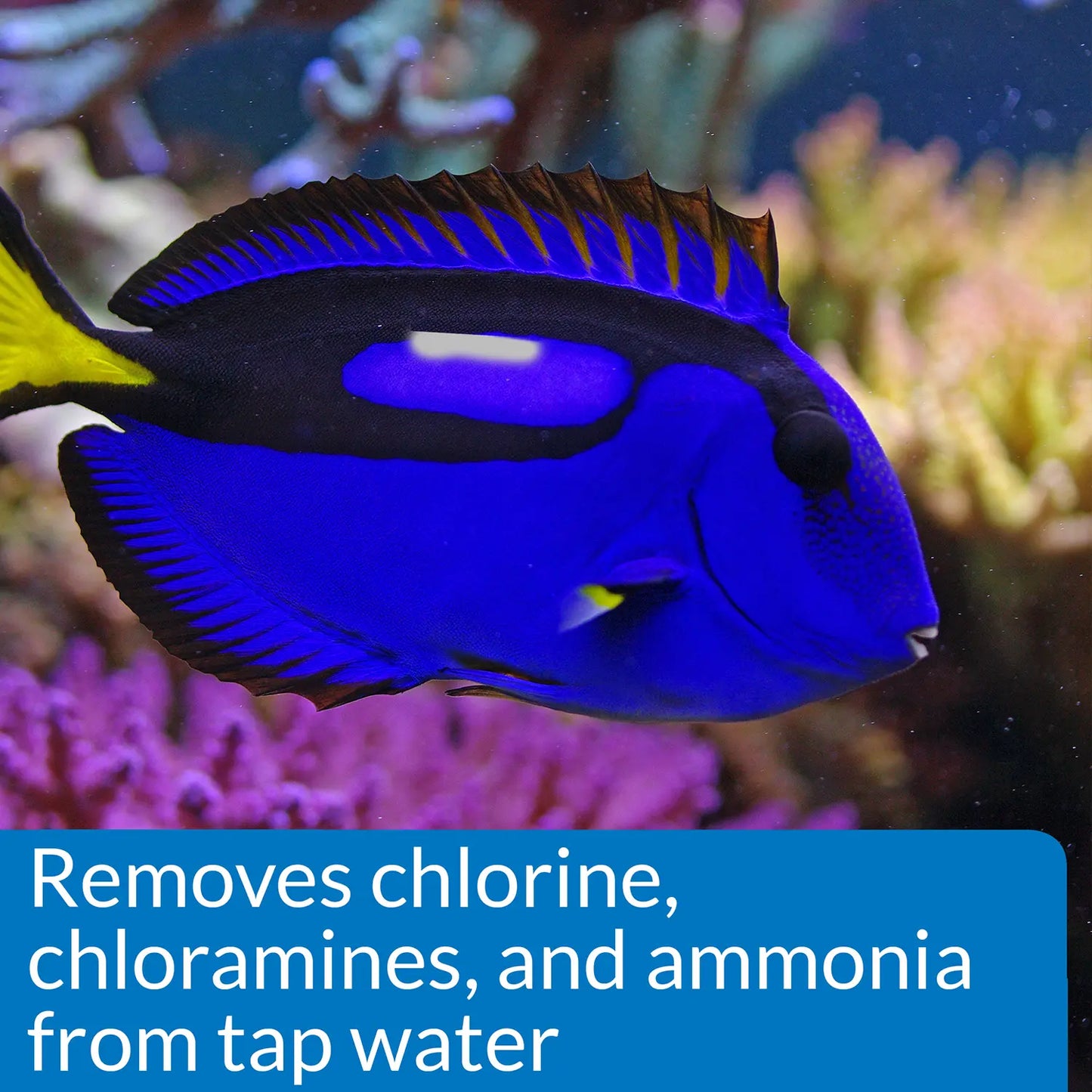 feature of API Stress Coat Marine Aquarium Remedy 16-oz