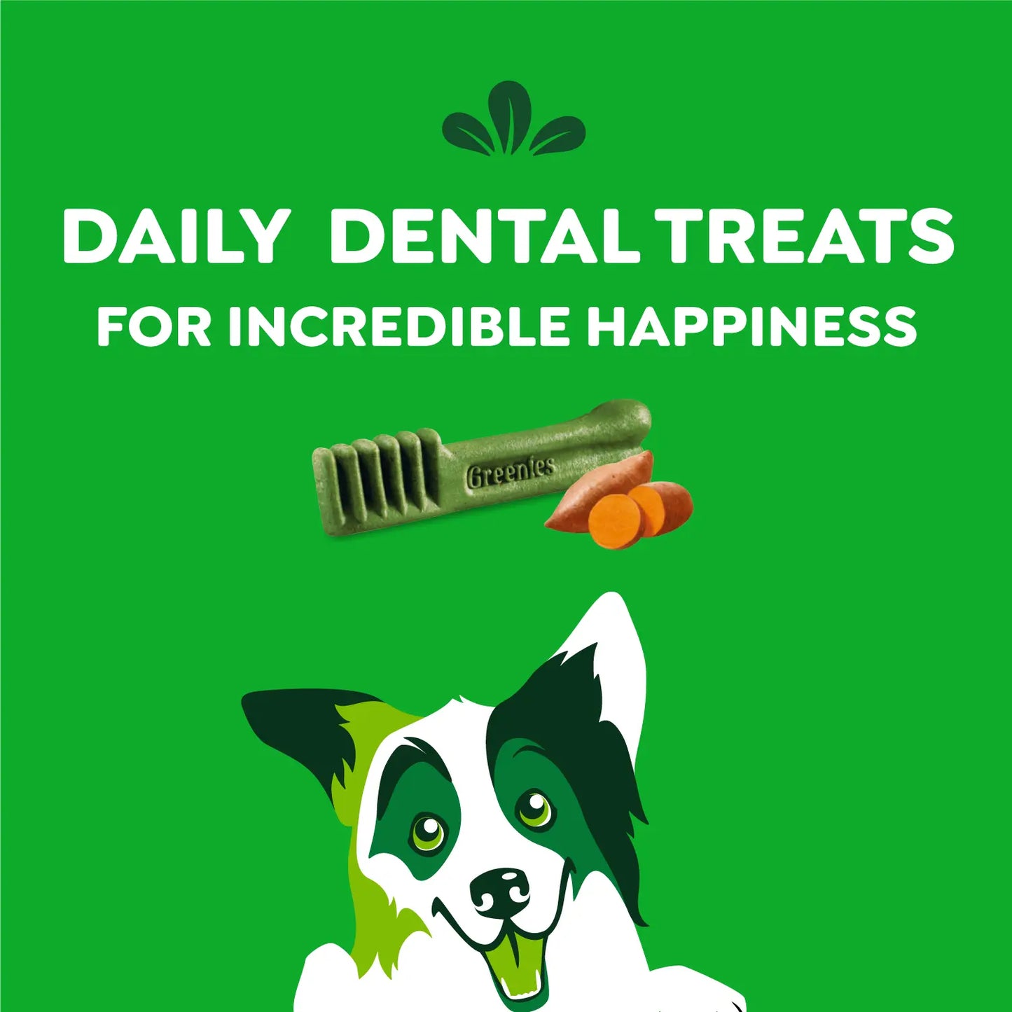 Features of Greenies Sweet Potato Dog Dental Treats Regular 12-oz 12 Count