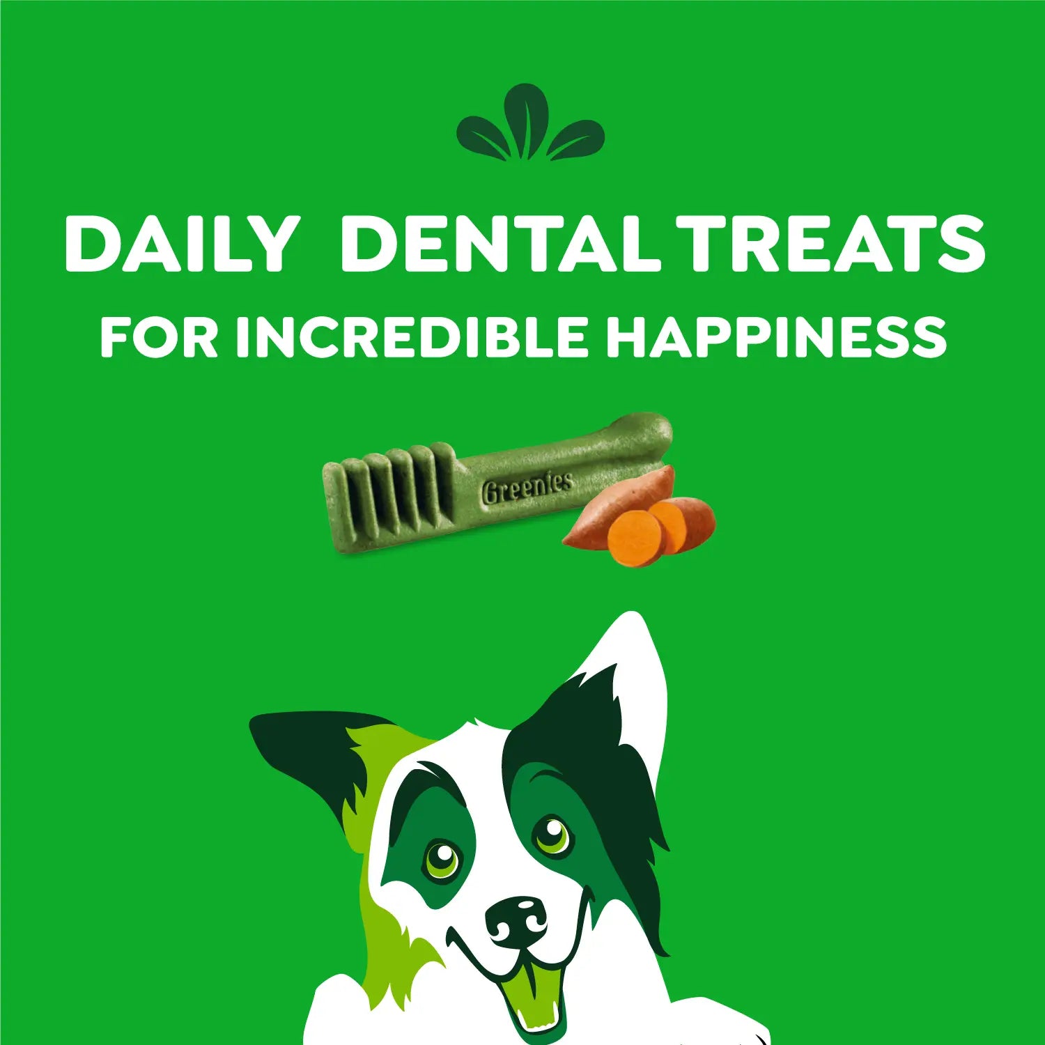 Features of Greenies Sweet Potato Dog Dental Treats Regular 12-oz 12 Count