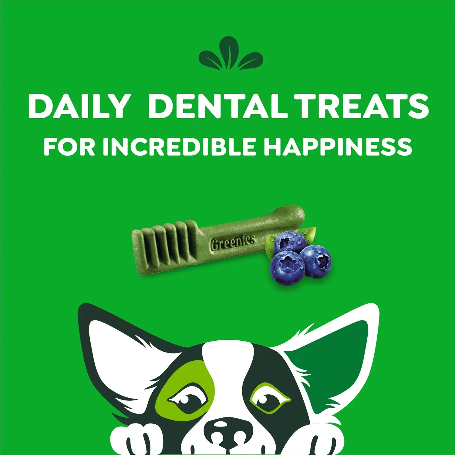 Features of Greenies Blueberry Dog Dental Treats Petite 12-oz 20 Count