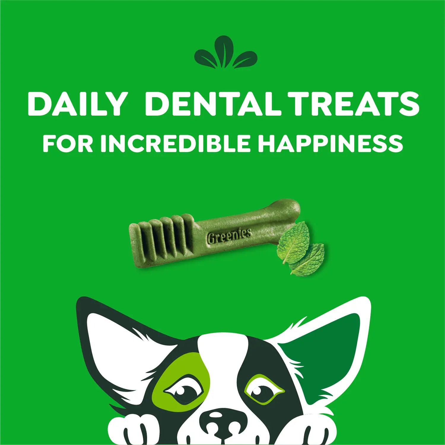 Features of Greenies Fresh Dog Dental Treats Petite 12-oz 20 Count