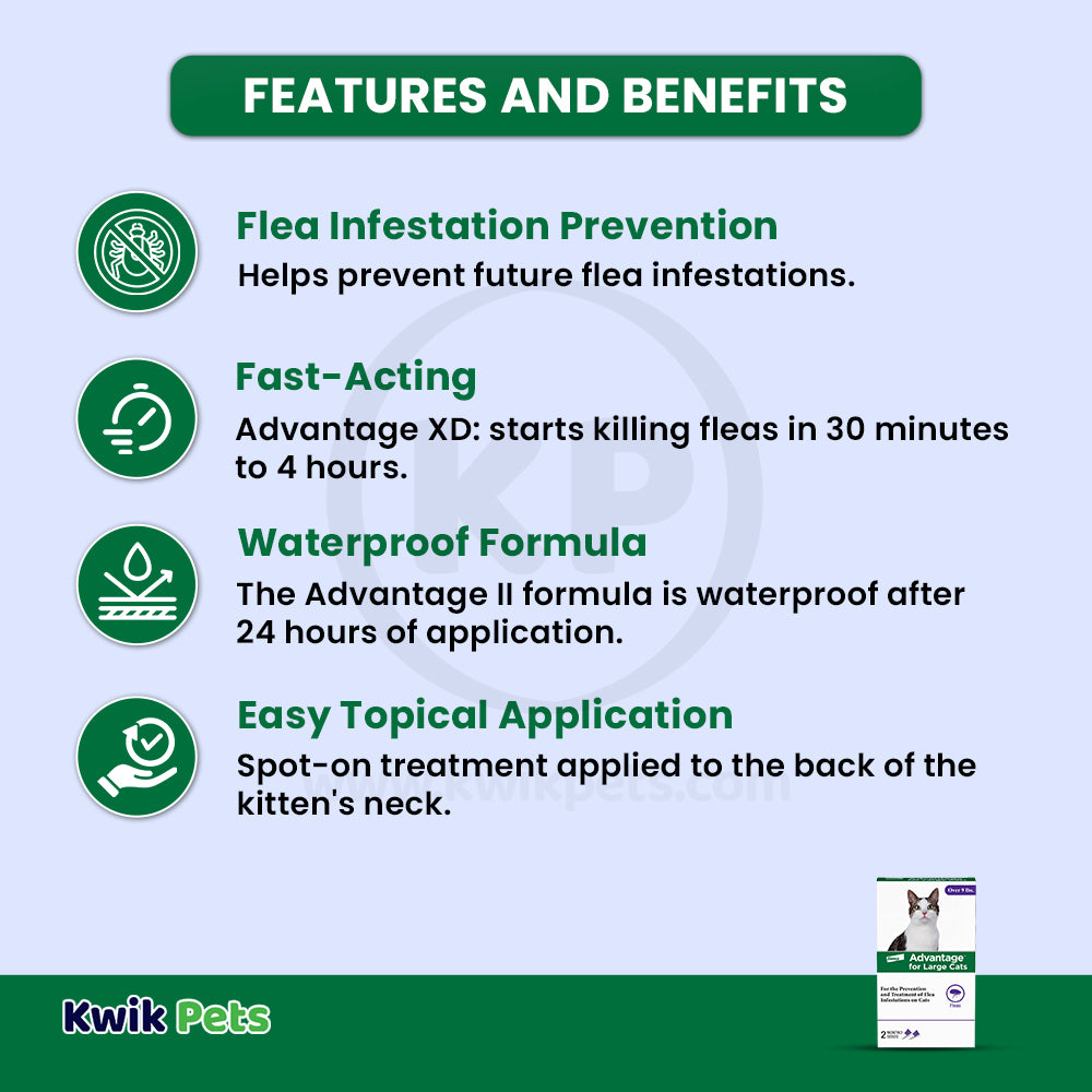 Features & Benefits of Elanco Advantage 2-Month Supply Topical Flea Treatment for Large Cats Over 9 lbs