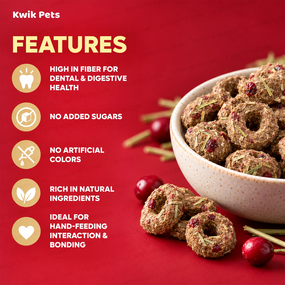 Features of Science Selective Berry Loops with Timothy Hay & Cranberry Guinea Pig Treats 2.8-oz